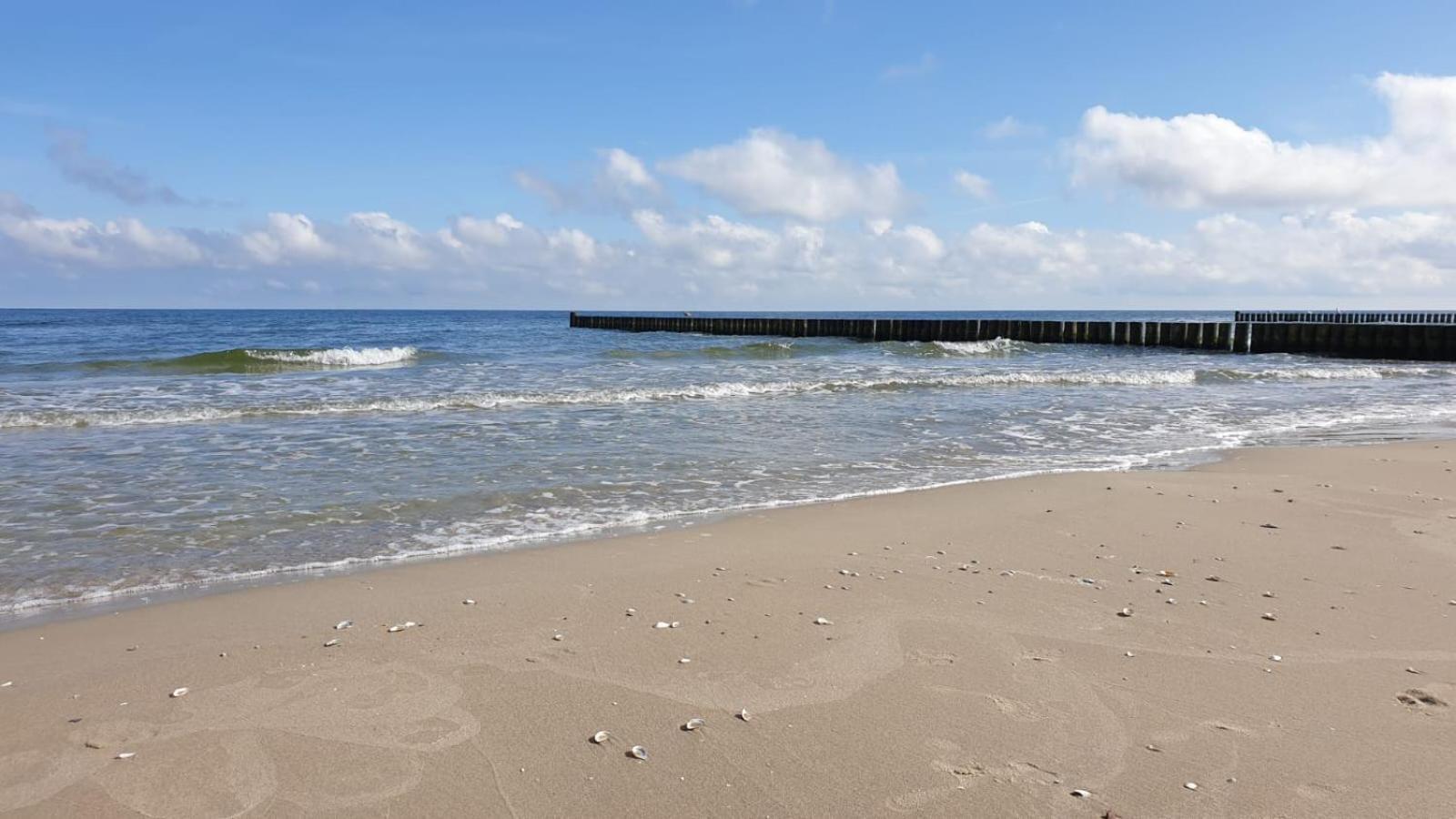 "Ab Zum Strand" Ferienwohnung Mit Balkon Zempin Eksteriør billede